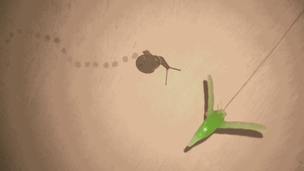 paisajes/Caracol_y_colibri.jpg